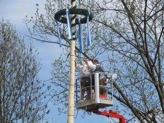 Aufstellen des Maibaums auf dem Laimer Anger