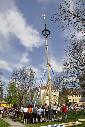 Maifeier und Maibaum-Aufstellung