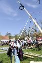 Maifeier und Maibaum-Aufstellung