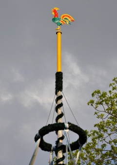 Maitanz ohne Maibaum?